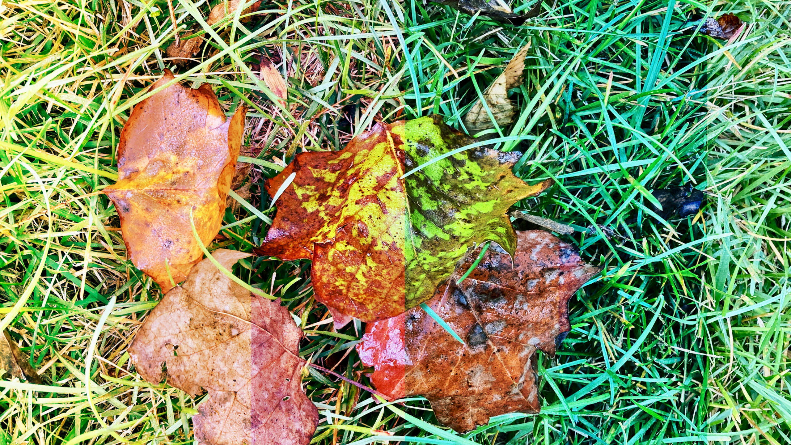 At Season’s Change